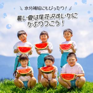 ふるさと納税 尾花沢市 尾花沢産小玉スイカ(約...の詳細画像2