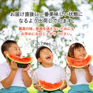 ふるさと納税 尾花沢市 尾花沢産小玉スイカ(約...の詳細画像3