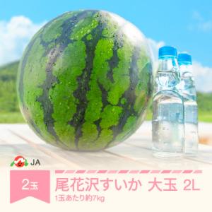 【先行予約】尾花沢すいか 2L×2玉 山形県村山市産