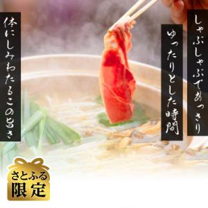 【さとふる限定】北海道民おすすめラムスライス&ラムしゃぶ 大容量セットタレ590g×2本
