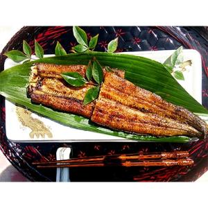 ふるさと納税 嬉野市 手焼き炭火焼きうなぎ蒲焼 ...の商品画像