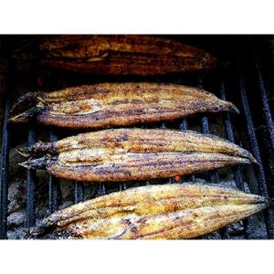 ふるさと納税 嬉野市 手焼き炭火焼きうなぎ蒲焼...の詳細画像2
