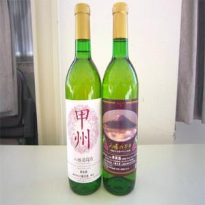 ふるさと納税 山梨市 山梨県産 白ワイン(甲州種、八幡のデラ)2本セット