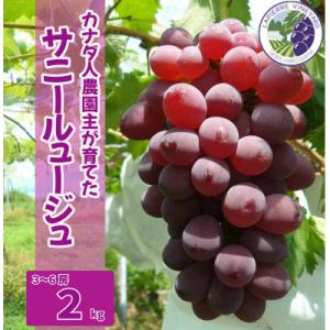 【カナダ人農園主の真心を込めた】サニールージュ2kg
