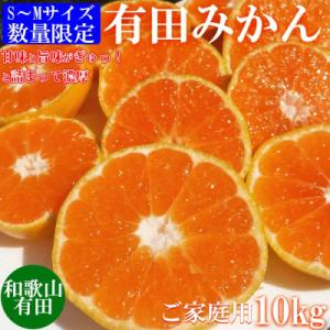 ふるさと納税 みかん 湯浅町 先行受付【ご家庭用】和歌山有田みかん約10kg(S、Mサイズ)【湯浅町】