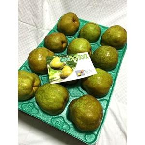 ふるさと納税 村山市 山形県村山市産　西洋梨　ラ・フランス　約5kg