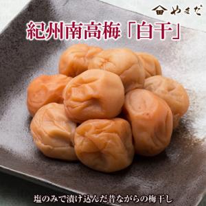 ふるさと納税 御坊市 紀州南高梅白干極(塩分18%)500g×2