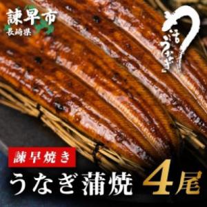 ふるさと納税 諫早市 【諫早淡水】 うなぎ蒲焼4尾