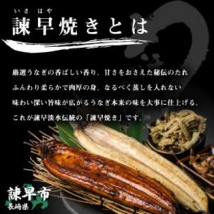 ふるさと納税 諫早市 【諫早淡水】 うなぎ蒲焼...の詳細画像3