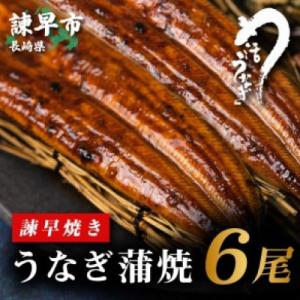 【諫早淡水】 うなぎ蒲焼6尾