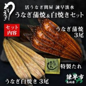 ふるさと納税 諫早市 【諫早淡水】 うなぎ蒲焼...の詳細画像1