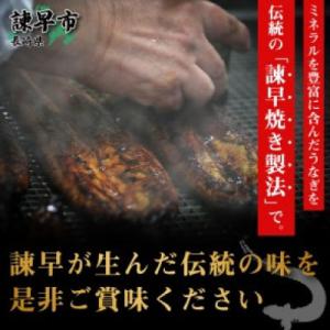 ふるさと納税 諫早市 【諫早淡水】 うなぎ蒲焼...の詳細画像2
