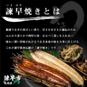 ふるさと納税 諫早市 【諫早淡水】 うなぎ蒲焼...の詳細画像3