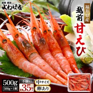 【300箱限定】大好評!越前甘エビ【卵あり中サイズ】約35尾/1箱