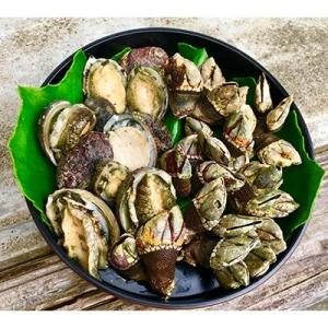 ふるさと納税 屋久島町 屋久島産　加熱用「亀の手250g」と加熱用「いそもん250g」セット【海水で...