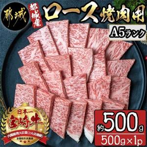 【A5ランク】都城産宮崎牛ロース焼肉用　約500g