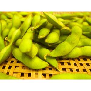 ふるさと納税 丹波市 黒枝豆『一番黒』(丹波黒)　莢のみ　200g×8袋