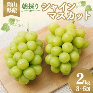 岡山県産　朝採りシャインマスカット　2kg