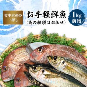 ふるさと納税 八幡浜市 竹中水産の一押し「お手軽鮮魚」1キロ前後【C22-235】