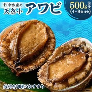 竹中水産の天然小アワビ、殻付きのままでバター焼き500g前後(4～8個目安)【D22-246】