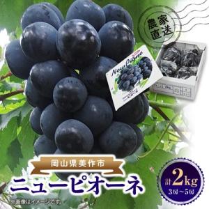 晴れの国　おかやまのニューピオーネ　2kg(3房～5房)