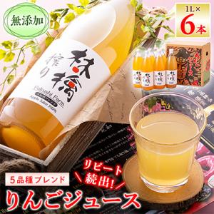 無添加5品種ブレンドりんごジュース　1L×6本