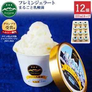 フレミンの【生きた乳酸菌がたっぷり】うおぬま乳酸菌ジェラート|110ml×12個(グランプリ受賞品)