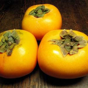 ふるさと納税 和歌山市 和歌山産 みかんとたねなし柿セット 秀品10kg (各5kg)