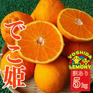 先行予約 不知火 でこ姫5kg(13～22玉)  【訳あり】