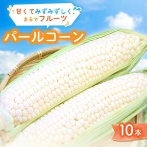 まるでフルーツ 村田農園のパールコーン 10本【大人気の白いとうもろこし(ホワイトコーン)】