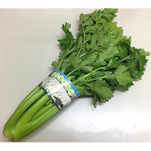 ふるさと納税 観音寺市 ミニセロリ　約5kg