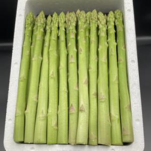 ふるさと納税 尾花沢市 銀山アスパラガス　2L　1kg