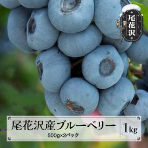 【先行受付】とれたて完熟ブルーベリー 生果実 1kg 500g×2  2026年産