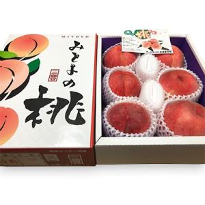 とろける果肉 「三豊の桃」 約1.8kg 化粧箱入り