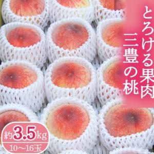 とろける果肉 「三豊の桃」 約3.5kg