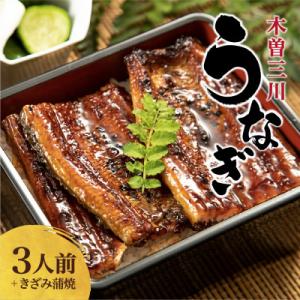 木曽三川うなぎ3人前+きざみ蒲焼 aa03