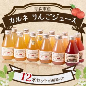カルネ りんごジュース 12本セット