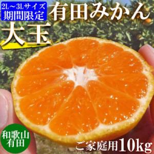 ふるさと納税 湯浅町 先行受付【ご家庭用】和歌山有田みかん10kg(2L、3Lサイズ)【湯浅町】