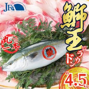 ふるさと納税 長島町 鰤王ラウンド　約4.5kg-R