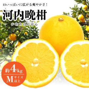 口いっぱいに広がる爽やかさ!「河内晩柑」約4kg(Mサイズ以上)【C28-11】