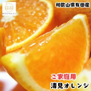 ≪先行予約 2027年2月～発送≫有田育ちの完熟清見オレンジ(ご家庭用)　5kg