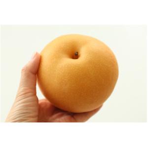 ふるさと納税 飯田市 ジューシーで甘い!長野県...の詳細画像1