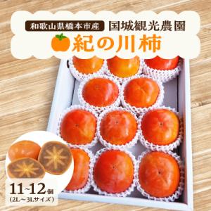 【2026年度発送分】国城観光農園の紀の川柿11～12個(2L～3Lサイズ)