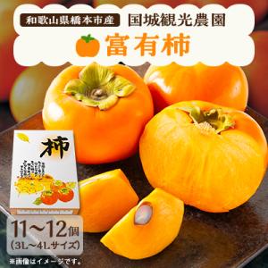 国城観光農園の富有柿11～12個(3～4L)