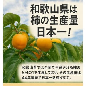 ふるさと納税 橋本市 あんぽ柿【先行受付】柳フ...の詳細画像3