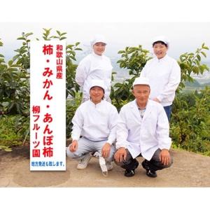 ふるさと納税 橋本市 あんぽ柿【先行受付】柳フ...の詳細画像2