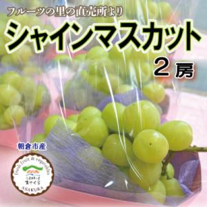 フルーツの里の直売所より　シャインマスカット2房(9月中旬発送)