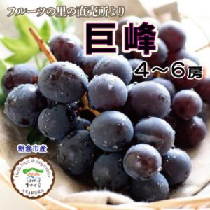 フルーツの里の直売所より　巨峰4～6房(8月下旬発送)
