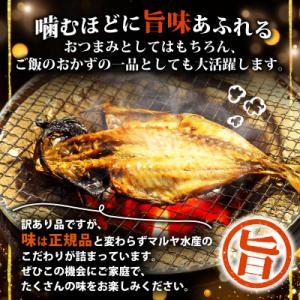 ふるさと納税 沼津市 【訳あり】干物 4kgお...の詳細画像1