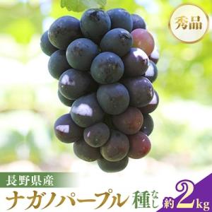 ふるさと納税 高森町 【皮ごとOK!】長野県産・種なしナガノパープル(約2kg)秀品